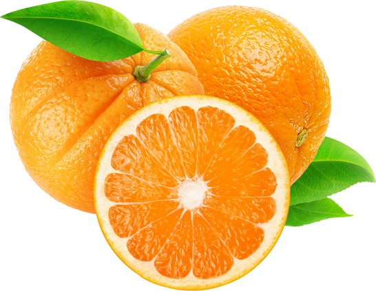 Orange in Halves Cutout
